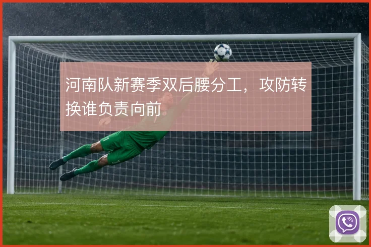 河南队新赛季双后腰分工，攻防转换谁负责向前