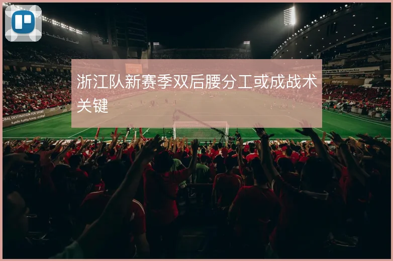 浙江队新赛季双后腰分工或成战术关键